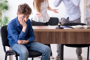 Child custody concept - blog 8